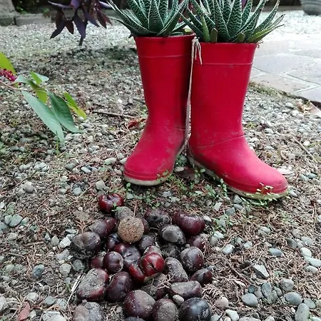 Appartamento A Casa Di Flo' Modena